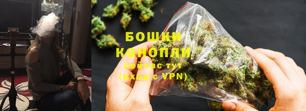 гашик Белокуриха