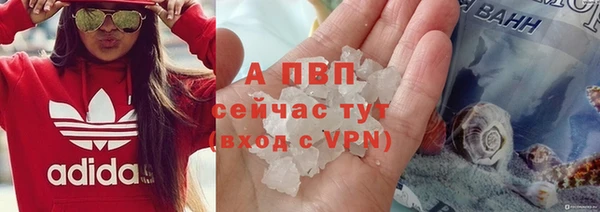 стаф Беломорск