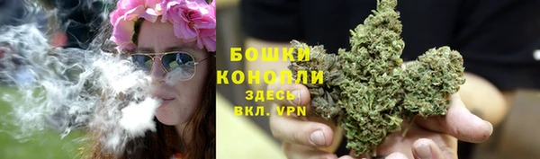 молекула духа Белоозёрский