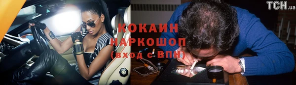 гашик Белокуриха