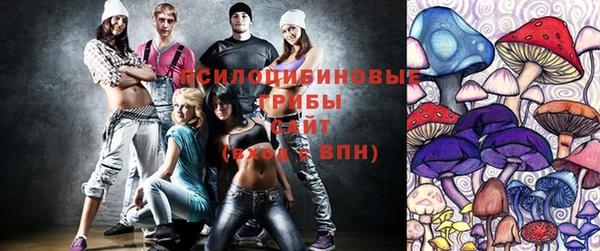 стаф Беломорск