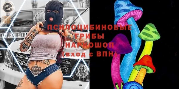 гашик Белокуриха