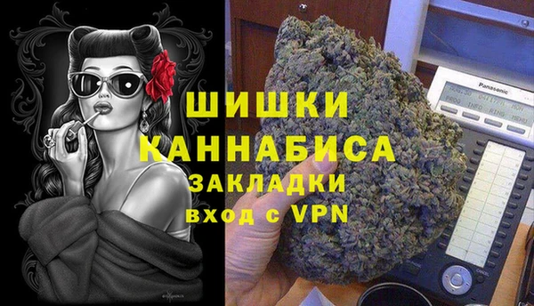 гашик Белокуриха