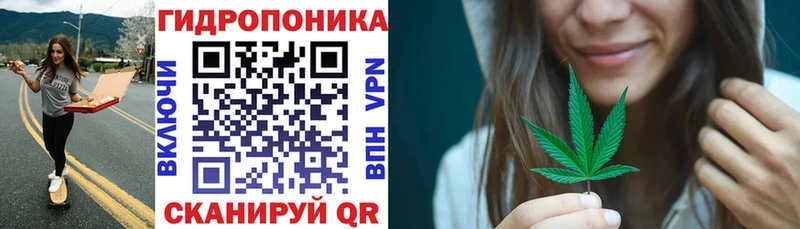Конопля сатива  кракен ONION  Городовиковск 